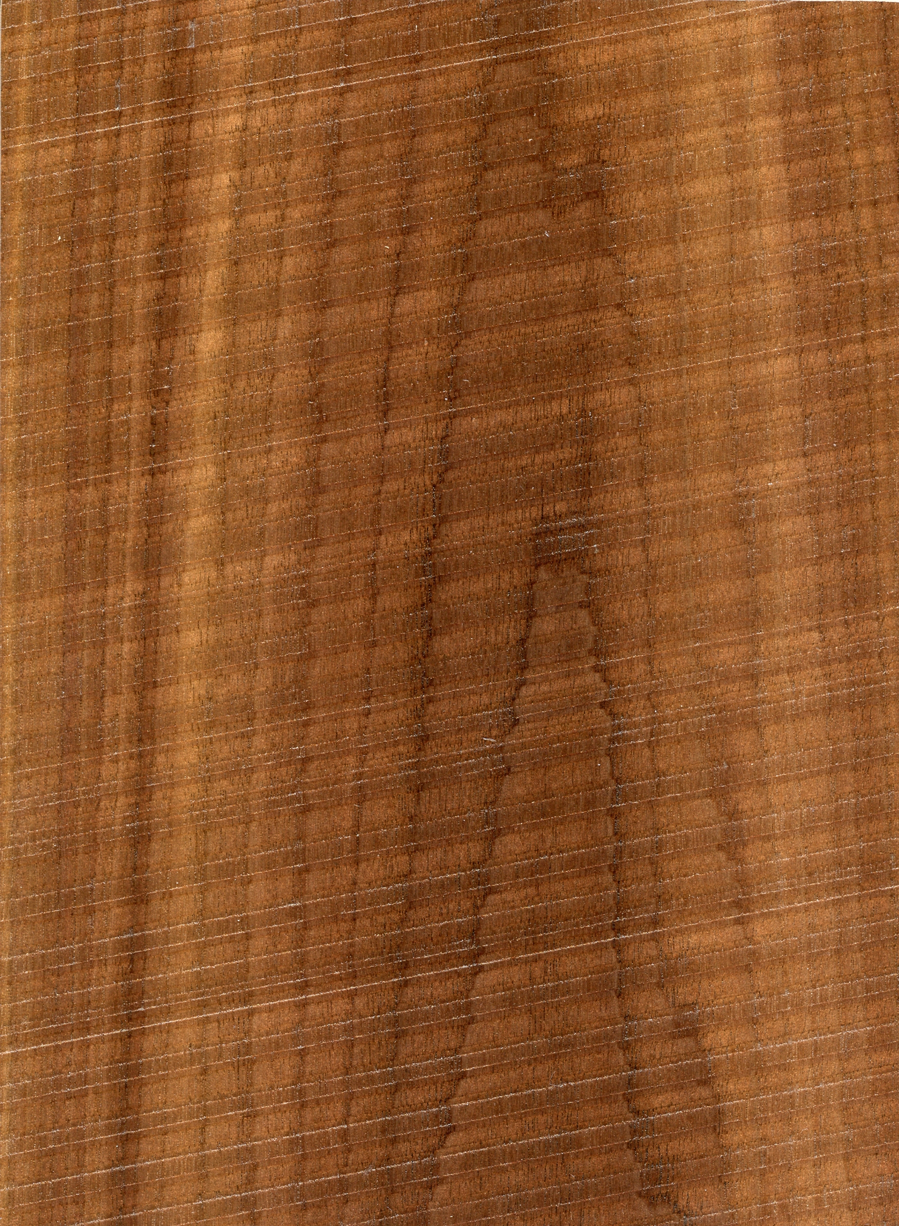 Textür – Walnut Flat Sliced