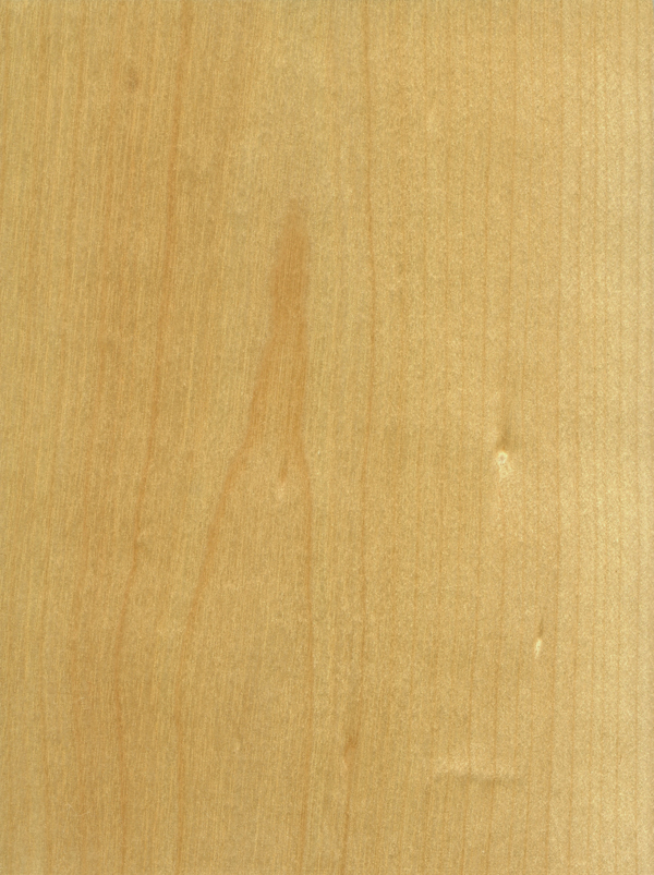 Birch, White – Flat Cut (Half Round)